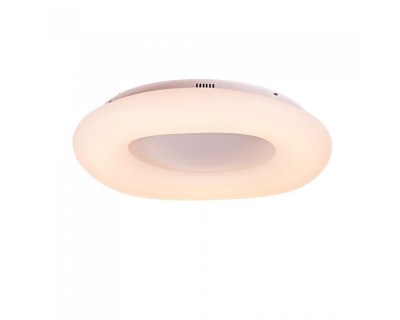 22W Pendant Round Color Changing D:300*H801 Dimmable White (3 in 1)