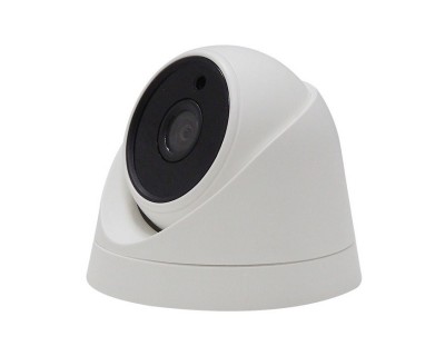 Indoor Camera With AHD/CVI/TVI/CVBS 2.0MP