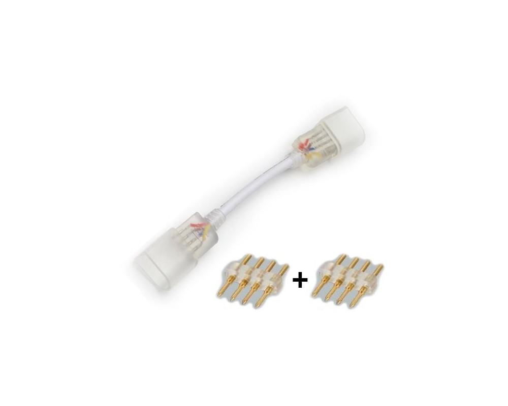 10x - 1 Connettore + 2 Pins per striscie colore RGB
